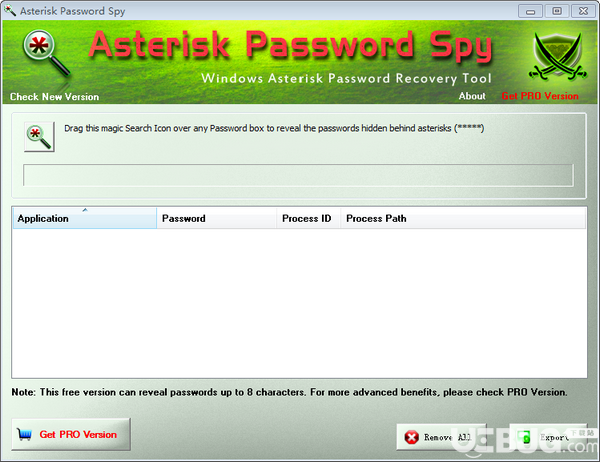 Asterisk Password Spy(星号密码查看器)