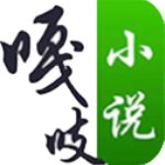 嘎吱小说app下载 v1.1.5安卓版 