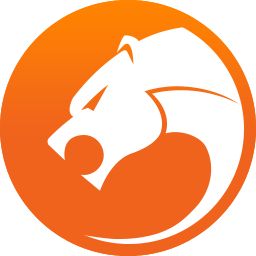 猎豹浏览器官方下载-猎豹安全浏览器v8.0.0.20445 官方最新版